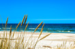 Beautiful sea landscape. Sandy beach with grass, Leba, Baltic Sea, Poland