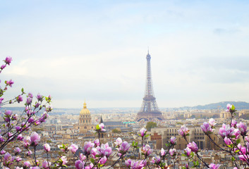 Wall Mural - skyline of paris with eiffel tower