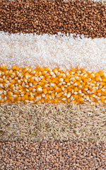 Sticker - Collection Set of Cereal Grains