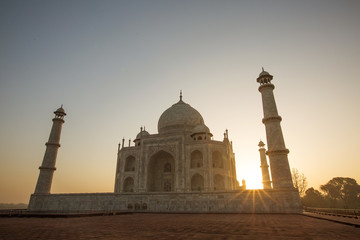 Wall Mural - Taj Mahal in sunrise light, Agra, India