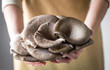 © Eduardo Lopez/ADDICTIVE STOCK - Close up of woman hand holding mushroom