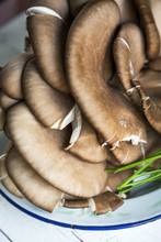 Closeup Of A Plate Of Mushrooms