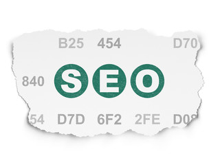 Web development concept: SEO on Torn Paper background