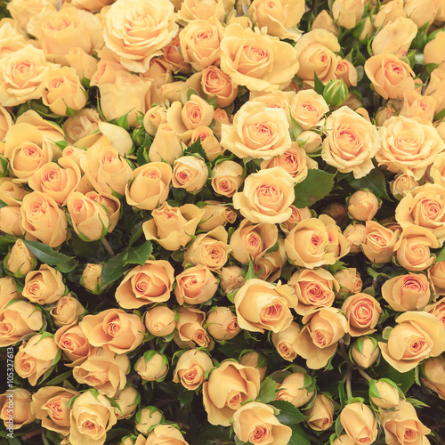 Naklejka dekoracyjna Natural tan roses background