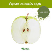 Vector Watercolor Hand Drawn Green Apple With Watercolor Drops. Organic Food Illustration.