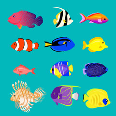 Wall Mural - Set of Sea Fish Color Design Flat