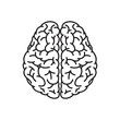Vector Illustration of Human Brain Outline From Top View
