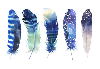 hand drawn watercolor feather set. boho style. watercolour illustration