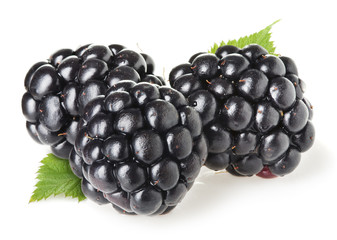 Wall Mural - Blackberries isolated on white background