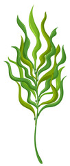 Wall Mural - Plant with long leaves