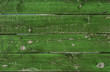 old green wood grunge texture. horizontal