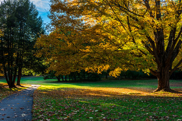 Canvas Print - Vermont Park