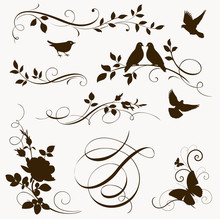 Decorative Calligraphic Elements. Flowers And Birds Silhouettes