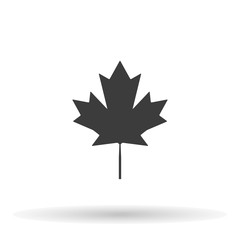 Wall Mural - Canadian maple leaf vector Icon. maple leaf Icon JPEG. maple leaf Icon Object. maple leaf Picture. maple leaf Image. maple leaf Graphic. maple leaf Art.maple leaf EPS.maple leaf AI.maple leaf Drawing