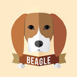 Image of a dog's face. Beagle. Vector illustration