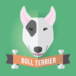 Image of a dog's face. Bull Terrier. Vector illustration