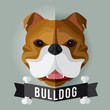 Image of a dog's face. bulldog. Vector illustration
