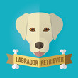 Image of a dog's face. Labrador Retriever. Vector illustration