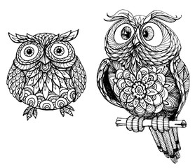 Cute owls