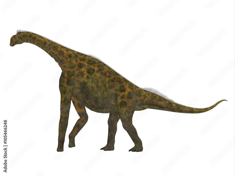 Atlasaurus Side Profile - Atlasaurus was a large herbivorous dinosaur ...