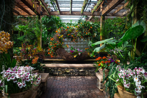 Fotografie, Obraz Blooming orchids in a beautiful indoor garden