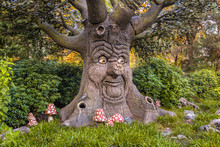 Talking Tree With Happy Face