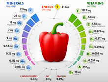 Vitamins And Minerals Of Red Bell Pepper. Infographics About Nutrients In Capsicum Fruit. Qualitative Vector Illustration About Pepper, Vitamins, Vegetables, Health Food, Nutrients, Diet, Etc
