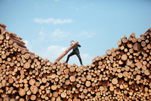 Business Vision - Hardworking Businessman On Top Of Large Pile Of Cut Wooden Logs