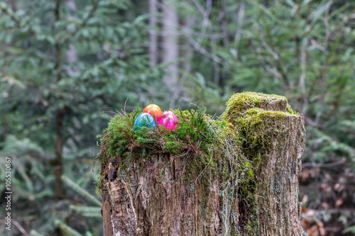 Ostern Im Wald Kaufen Sie Dieses Foto Und Finden Sie Ahnliche Bilder Auf Adobe Stock Adobe Stock