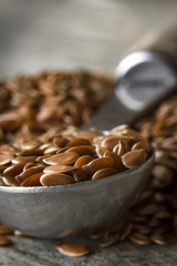 Flax Seed