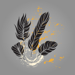  Vector background with feathers. Elements for design.