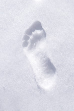 Barefoot Footprint On Clear White Snow In Winter Vertical Closeup