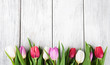 bouquet of fresh spring tulips
