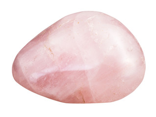 tumbled rose quartz mineral gem stone isolated