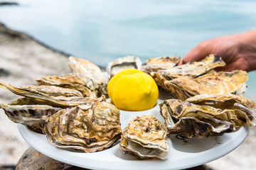 Wall Mural - Male hand holding oysters