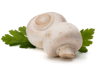 Champignon and parsley herb still life isolated on white backgro