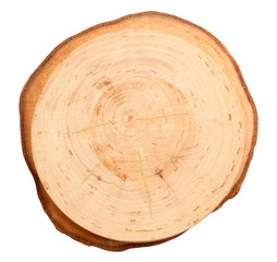 Wood round slice, isolated on white