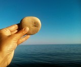 Fototapeta Kamienie - Круглый камень в руке на фоне синего неба и моря летом