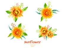 Sunflower Watercolor Illustration Isolated On White, Vector Floral Branch, Bouquet Design With Sunflower And Leaves, Can Be Used For Banner, Cards, Invitations Etc