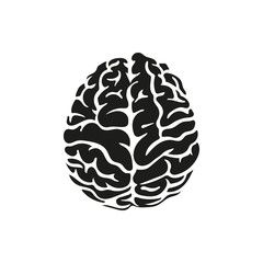 Vector illustration of human brain on white background