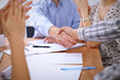 © rogerphoto - Business people handshaking finishing up meeting, close up. Start up team