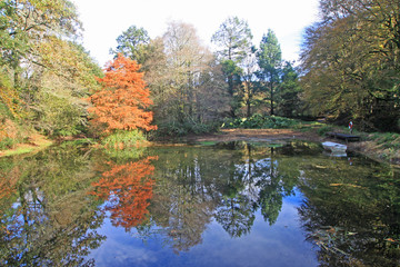 Poster - Lake in Autumn