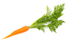 Carrot With Leaves