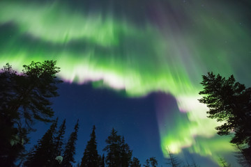 Wall Mural - Northern lights (Aurora borealis) in the sky