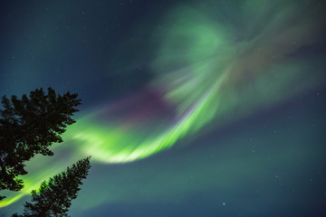 Sticker - Northern lights (Aurora borealis) in the sky