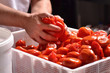 © Gustavo Andrade - Preparando salsa,crema de tomate.Exprimiendo tomates.