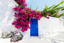 Traditional Greek House With Bougainvillaea On Santorini Island,