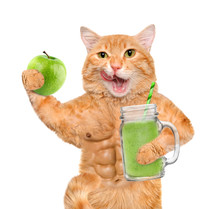 Cat Holding Smoothie In A Jar Mug Old Isolated On White.