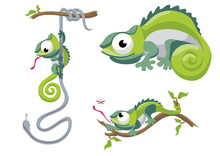 Illustration Of Chameleon In Different Situations
