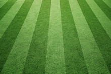 Sunny Socccer Or Rugby Artificial Green Grass Field Background.